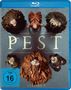 : Die Pest Staffel 2 (Blu-ray), BR,BR