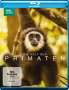 : Die Welt der Primaten (Blu-ray), BR