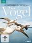 John Downer: Die fantastische Reise der Vögel, DVD,DVD