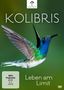 Paul Reddish: Kolibris - Leben am Limit, DVD