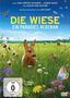 Jan Haft: Die Wiese - Ein Paradies nebenan, DVD