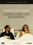 Ingmar Bergman: Szenen einer Ehe (Special Edition) + Sarabande, DVD,DVD,DVD,DVD,CD