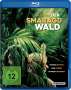 John Boorman: Der Smaragdwald (Blu-ray), BR
