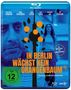 In Berlin wächst kein Orangenbaum (Blu-ray), Blu-ray Disc