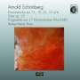 Arnold Schönberg: Sämtliche Klavierwerke op.11,19,23,25,33a+b, CD