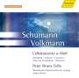 Robert Volkmann (1815-1883): Cellokonzert a-moll op.33, CD