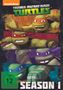 Teenage Mutant Ninja Turtles Season 1, 4 DVDs