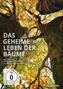 Jörg Adolph: Das geheime Leben der Bäume (Blu-ray & DVD im Mediabook), BR,DVD