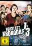 Christian Ditter: Vorstadtkrokodile 1-3, DVD,DVD,DVD