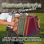 Hansi Hornsteiner: Blasmusikmärsche auf der Harmonika, CD, CD