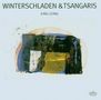 Reiner Winterschladen: King Gong, CD