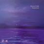 Steve Folk: Departure (180g), LP, LP