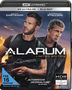 Alarum (Ultra HD Blu-ray & Blu-ray), Ultra HD Blu-ray