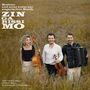 Matthias Well, Maria Well & Vladislav Cojocaru: Zingarissimo: Brahms und seine Liebe zur ungarischen Musik, CD, CD