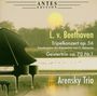 Ludwig van Beethoven: Tripelkonzert op.56 für Klaviertrio (Arrangiert von Carl Reinecke), CD