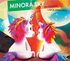 „MINORA SKY, Jan Schreiner, LARGE ENSEMBLE“. Zwei niedliche Einhörner schauen sich vor einem bunten, abstrakten Hintergrund an., CD