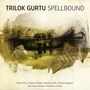 Trilok Gurtu (geb. 1951): Spellbound, CD