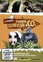 : Panda, Gorilla & Co. Vol. 7 (Folgen 57-60), DVD