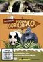 Panda, Gorilla & Co. Vol. 7 (Folgen 57-60), DVD