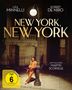 New York, New York (Special Edition) (Blu-ray & DVD), 2 Blu-ray Discs und 1 DVD