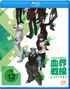 Shigehito Takayanagi: Blood Blockade Battlefront Staffel 2 Vol. 2 (Blu-ray), BR