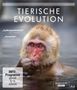 David Attenborough: David Attenborough: Tierische Evolution (Blu-ray), BR