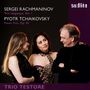 Peter Iljitsch Tschaikowsky (1840-1893): Klaviertrio op.50, SACD