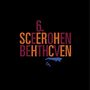 Hermann Scherchen dirigiert, LP, LP
