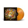 Al Di Meola (geb. 1954): Twentyfour (Limited Edition) (Marbled Orange Vinyl), 2 LPs