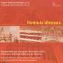 Orgellandschaft Schlesien Vol.8 - Fantasia silesiana, CD