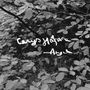 "Cerys Hafana - Angel" steht in weißer Schrift auf einem schwarz-weiß Foto von Blättern., CD