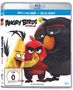 Angry Birds - Der Film (3D & 2D Blu-ray), 2 Blu-ray Discs