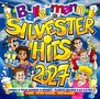 "BALLERMANN SILVESTER HITS 2024" in bunten Buchstaben, festliche feiernde Menschen mit Getränken und Feuerwerk.