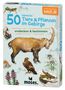 Carola von Kessel: 50 heimische Tiere & Pflanzen im Gebirge, Spiele, Spiele