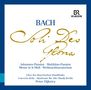 Johann Sebastian Bach: Die großen geistlichen Werke "Soli Deo Gloria" (ohne Werkeinführungen), CD,CD,CD,CD,CD,CD,CD,CD,CD