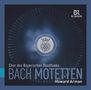 Johann Sebastian Bach: Motetten BWV 225-229, CD