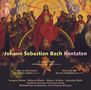 Johann Sebastian Bach: Kantaten BWV 14,93,100, CD, CD