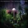 Emil Brandqvist (geb. 1981): Entering The Woods, CD