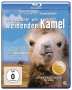 Luigi Falorni: Die Geschichte vom weinenden Kamel (Blu-ray), BR