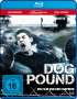 Kim Chapiron: Dog Pound (Blu-ray), BR