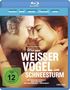 Gregg Araki: Wie ein weißer Vogel im Schneesturm (Blu-ray), BR