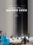 The Killing of a Sacred Deer (Blu-ray & DVD im Mediabook), 1 Blu-ray Disc und 1 DVD