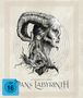 Guillermo del Toro: Pans Labyrinth (Ultimate Edition) (Blu-ray & DVD im Mediabook), BR,BR,BR,BR,DVD,CD