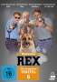 Michael Riebl: Kommissar Rex Staffel 6, DVD,DVD,DVD
