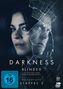 Darkness Staffel 2: Blinded - Schatten der Vergangenheit, 2 DVDs