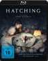 Hanna Bergholm: Hatching (Blu-ray), BR