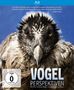 Jörg Adolph: Vogelperspektiven (Special Edition) (Blu-ray im Digipack), BR