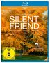 "SILENT FRIEND", Ein Film von Ildikó Enyedi. Ein Mann steht vor einem großen Baum mit goldgelben Blättern, umgeben von Gras., Blu-ray Disc