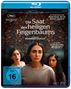 Mohammad Rasoulof: Die Saat des heiligen Feigenbaums (Blu-ray), BR