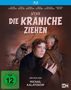 Wenn die Kraniche ziehen (Special Edition) (Blu-ray), Blu-ray Disc